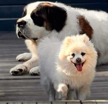 IMG-20230913-WA0070-removebg-preview (1)